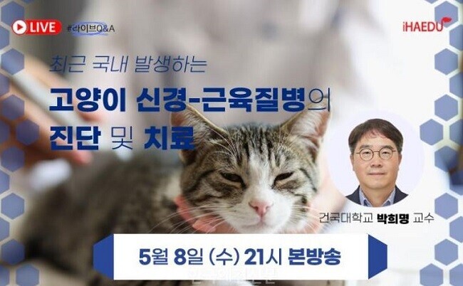 ‘고양이 사료’ 논란, 다른 사료 먹...